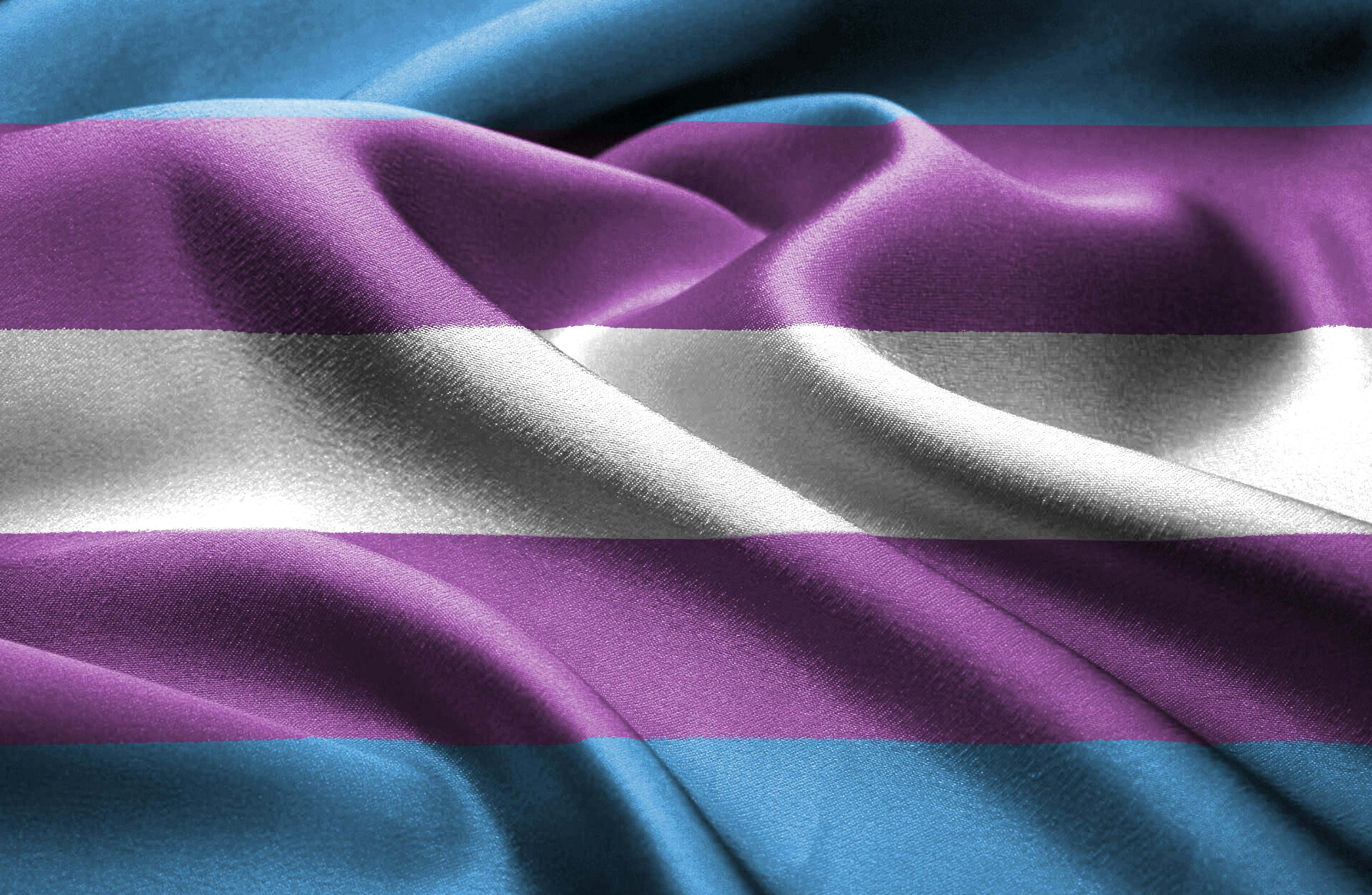 Transgender Flag 1